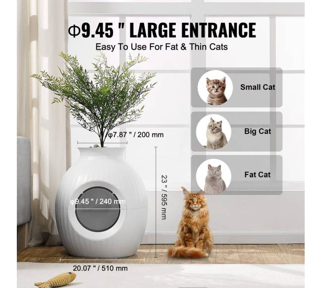 Nematoma kvapo kačių kraiko dėžė su augalu3