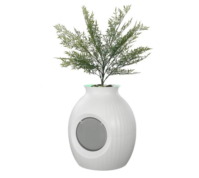 Nematoma kvapo kačių kraiko dėžė su augalu9