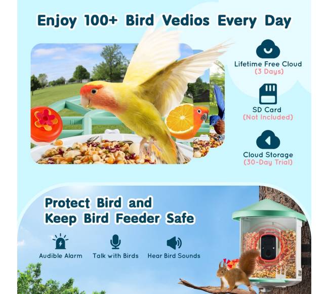 Išmanusis paukščių lesyklė su kamera ir saulės energija2