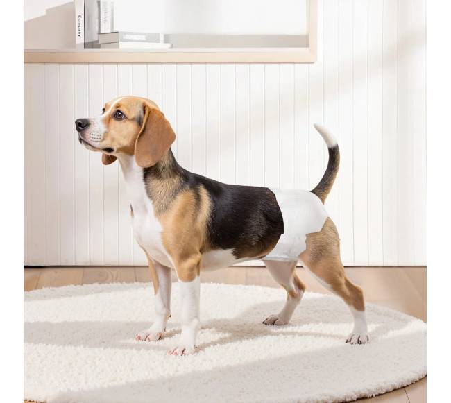 Vienkartinės super sugeriančios sauskelnes mažiems šunims7