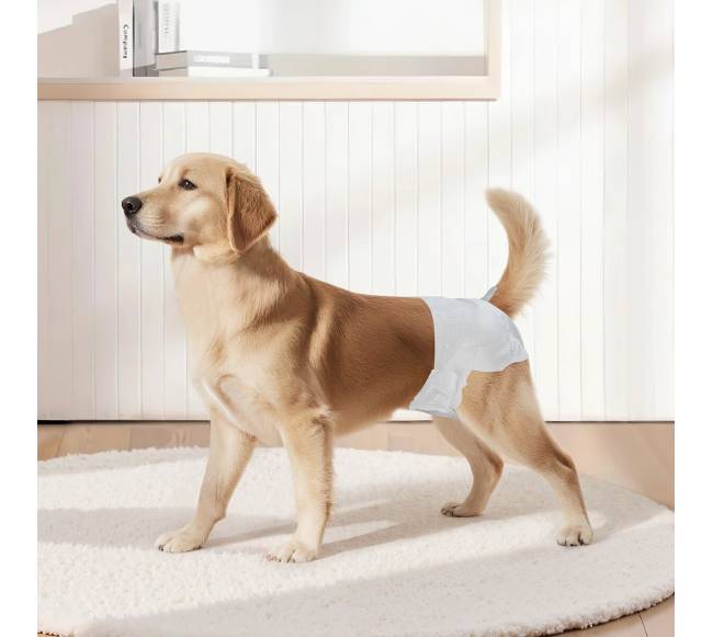 Vienkartinės sauskelnės kalėms M dydžio 144 vnt.7