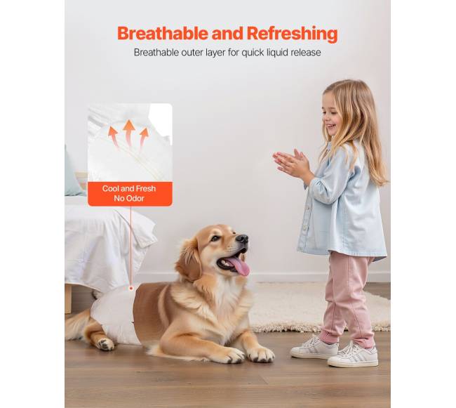 Vienkartinės šunų sauskelnės su super absorbavimu, M dydis, 96 vnt3