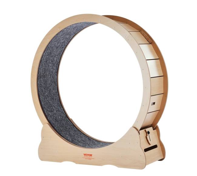 Didelis mankštos ratas kates viduje0