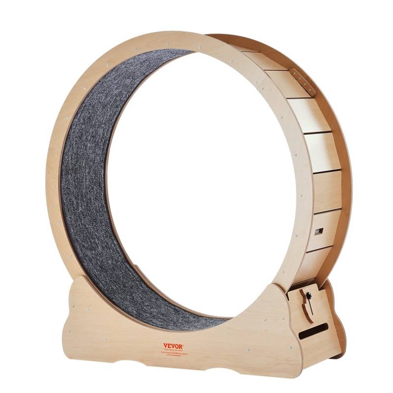 Didelis mankštos ratas kates viduje0