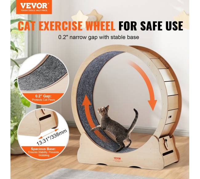 Didelis mankštos ratas kates viduje1