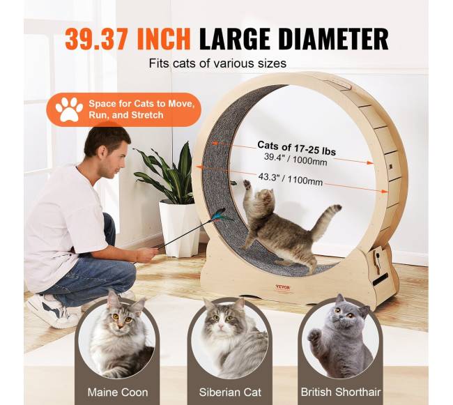 Didelis mankštos ratas kates viduje3