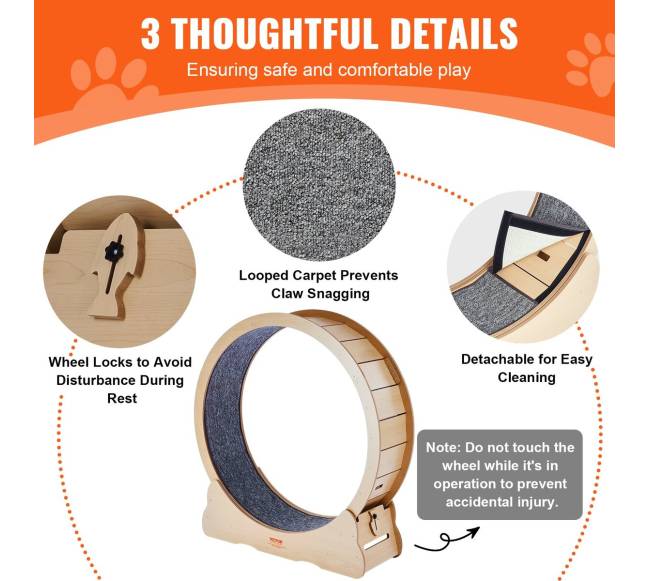 Didelis mankštos ratas kates viduje5