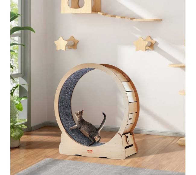 Didelis mankštos ratas kates viduje7