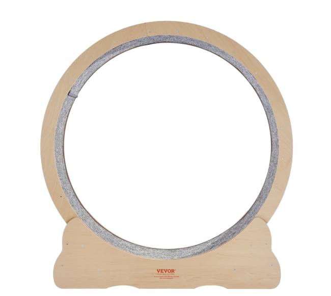 Didelis mankštos ratas kates viduje8