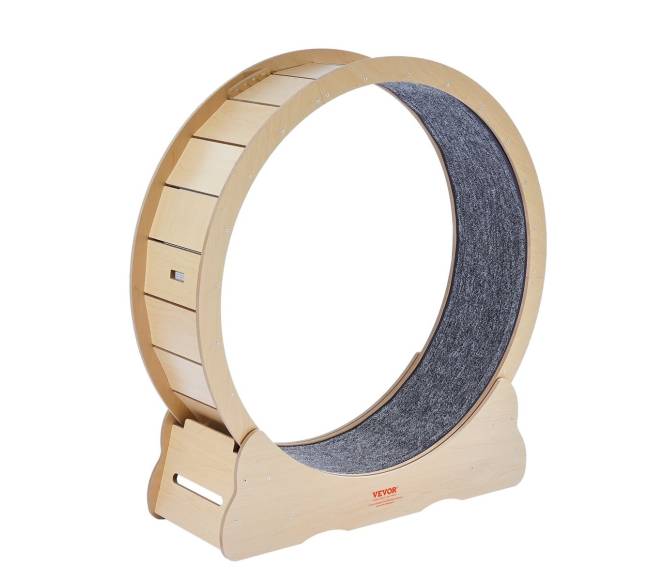 Didelis mankštos ratas kates viduje9