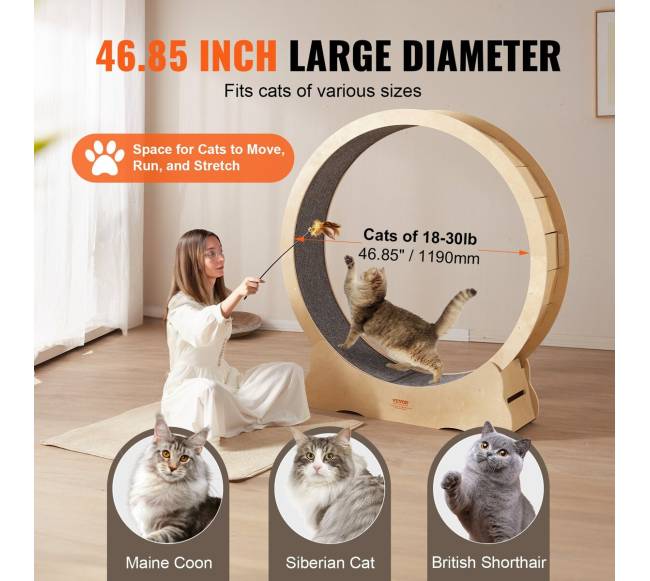 Katės bėgimo ratas su kilimu ir žaislu3