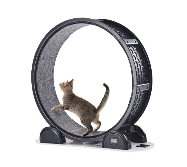 Katės bėgimo ratas su pedometru juodas0