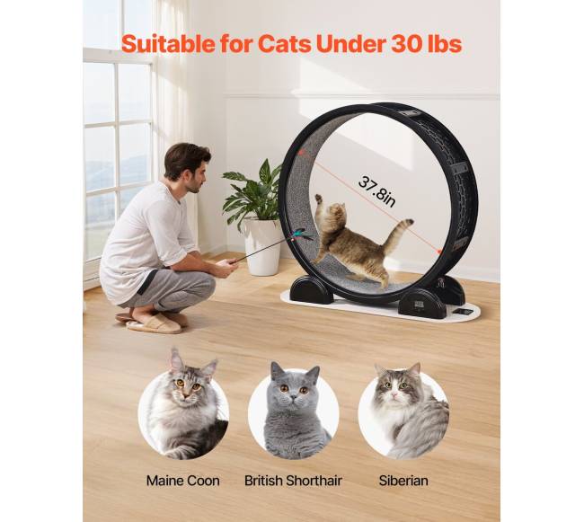 Katės bėgimo ratas su pedometru juodas3