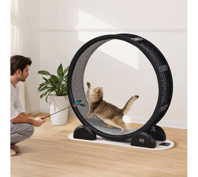 Katės bėgimo ratas su pedometru juodas7