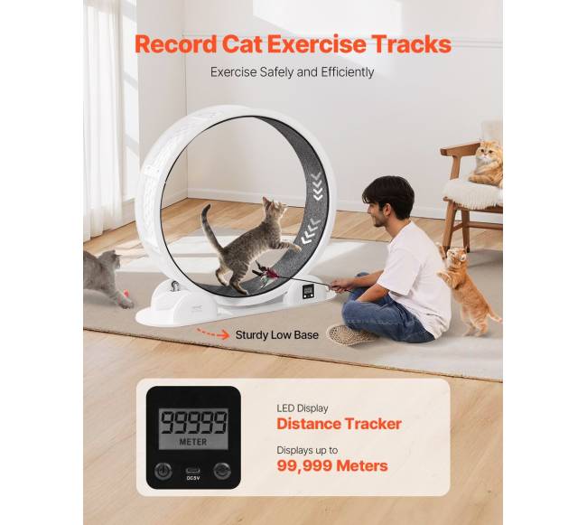 Baltas kačių bėgimo ratas su pedometru1