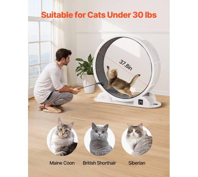 Baltas kačių bėgimo ratas su pedometru3