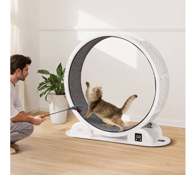 Baltas kačių bėgimo ratas su pedometru7