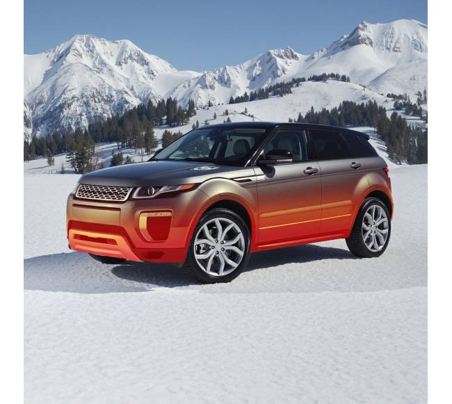 Dyzelinio šildytuvo oro įleidimo žarna7