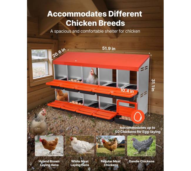 Dviejų aukštų vištų dedeklės dėžės, 10 sk.1