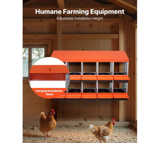 Dviejų aukštų vištų dedeklės dėžės, 10 sk.4