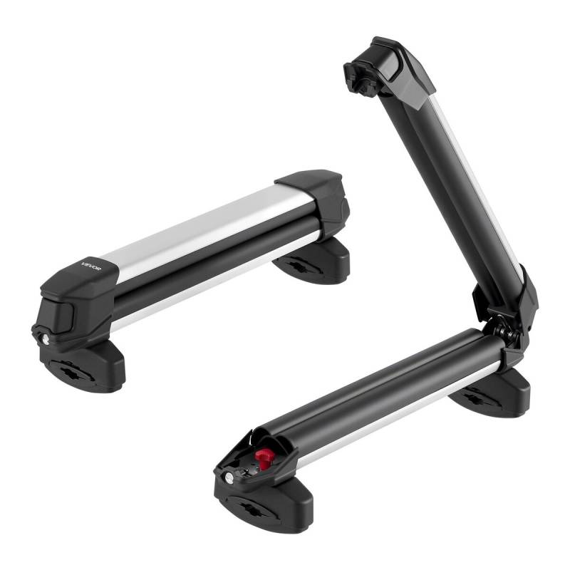 Stogo laikiklis slidėms ar snieglentėms0