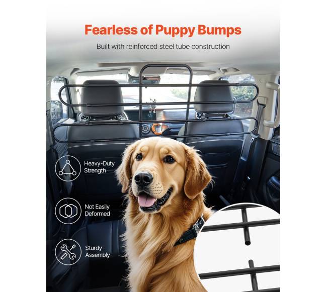 Automobilio pertvara šunims reguliuojama ir universali4