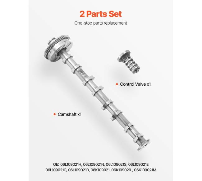 Europos automobilių kumštelinio veleno rinkinys2