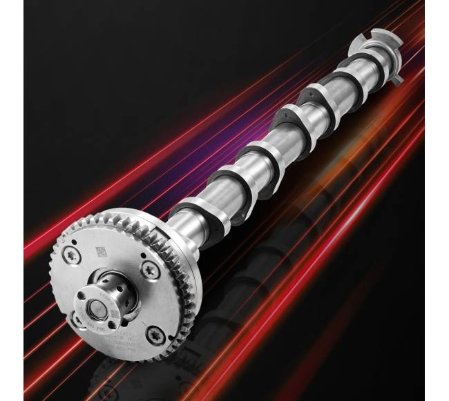 Europos automobilių kumštelinio veleno rinkinys7