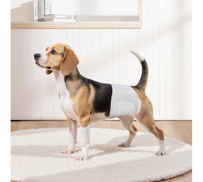 Vienkartinės šunų sauskelnės patinams S dydis 96 vnt7