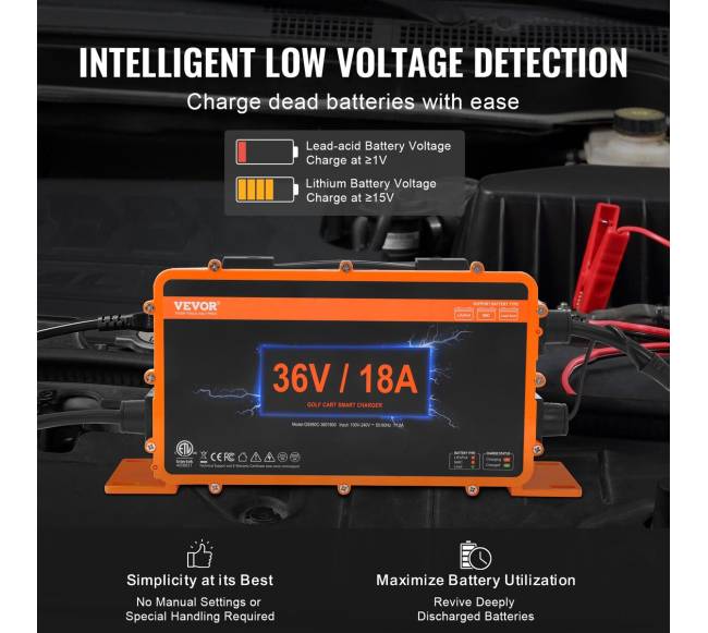 36 V 18 A golfo vežimėlio baterijos įkroviklis4