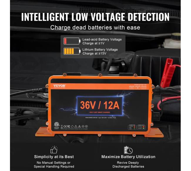 36 voltų 12 A golfo vežimėlio įkroviklis4