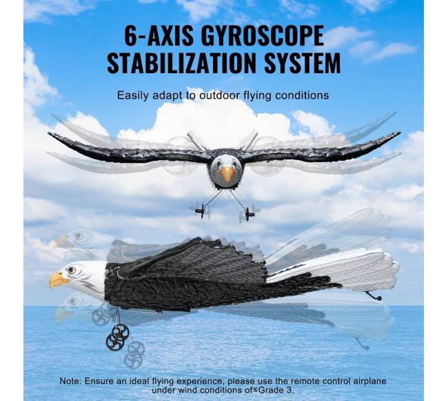 Biomimetinis erelis iš EPP putplasčio RC lėktuvas2