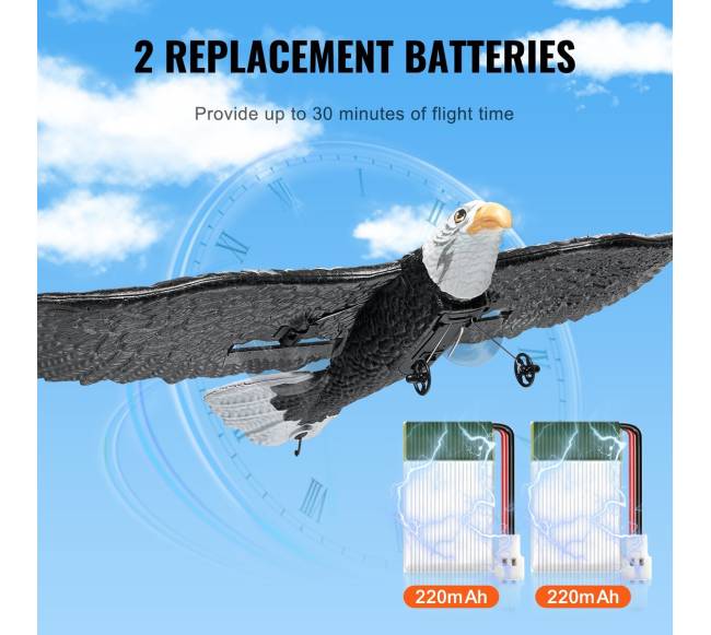 Biomimetinis erelis iš EPP putplasčio RC lėktuvas3