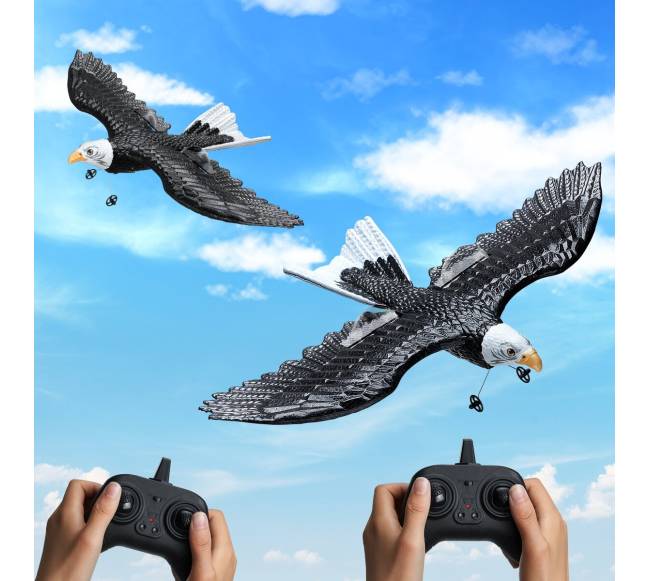 Biomimetinis erelis iš EPP putplasčio RC lėktuvas7