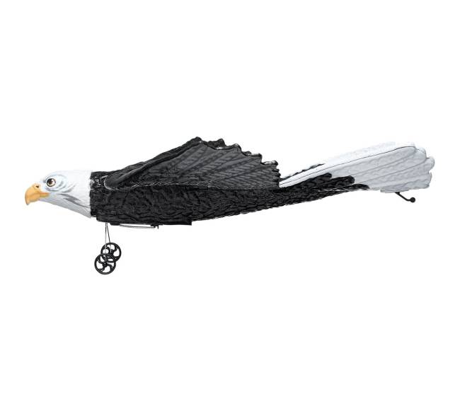 Biomimetinis erelis iš EPP putplasčio RC lėktuvas10
