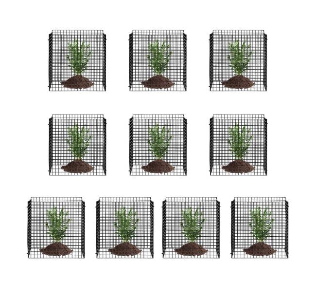 10 vnt. augalų apsauga nuo gyvūnų 30x30 cm9