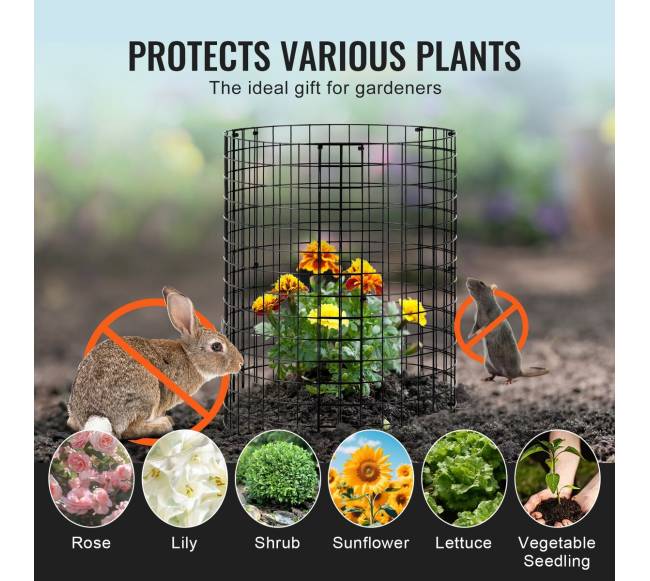 6 dalių augalų apsauga nuo gyvūnų5