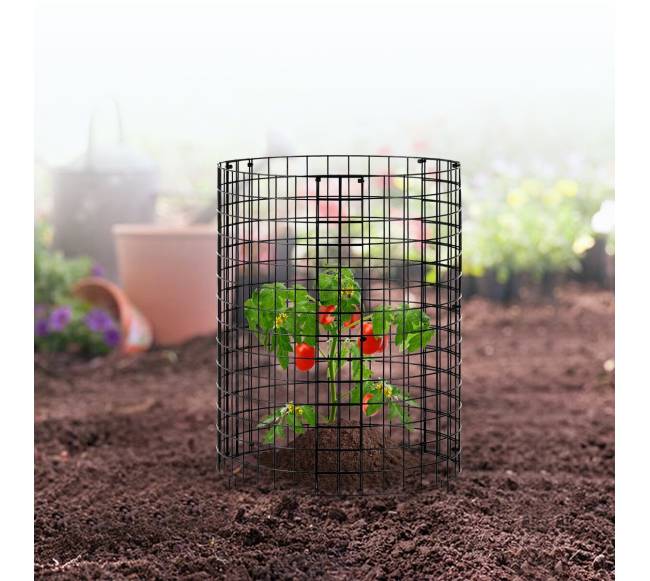 6 dalių augalų apsauga nuo gyvūnų7