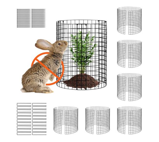 6 dalių augalų apsauga nuo gyvūnų8