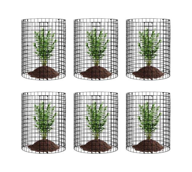 6 dalių augalų apsauga nuo gyvūnų9