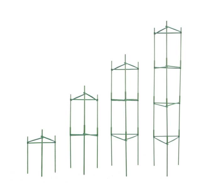 Dalomos pomidorų atramos, 6 vnt., 48 cm0