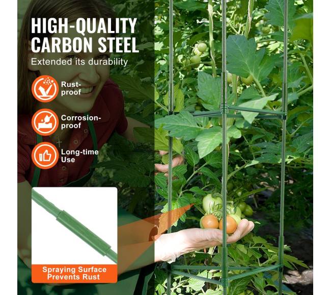 Dalomos pomidorų atramos, 6 vnt., 48 cm2