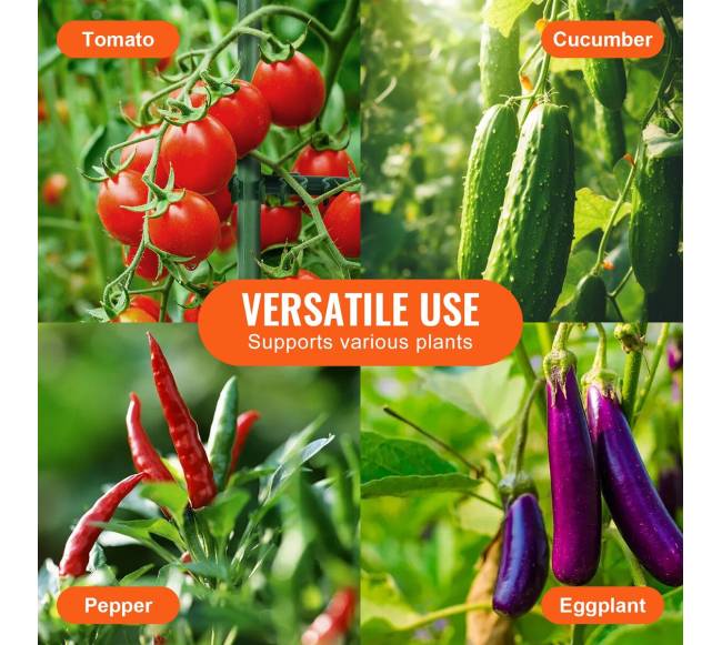 Dalomos pomidorų atramos, 6 vnt., 48 cm5