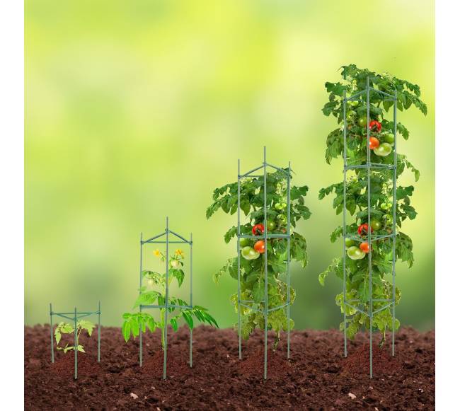 Dalomos pomidorų atramos, 6 vnt., 48 cm7