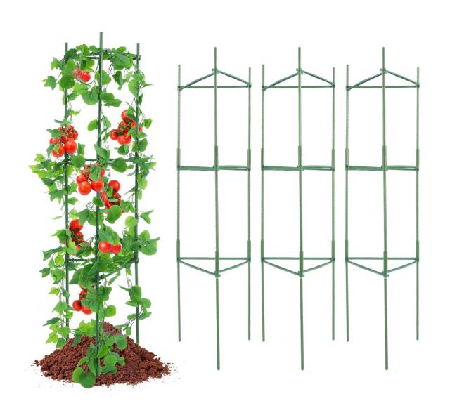 Dalomos pomidorų atramos, 6 vnt., 48 cm9