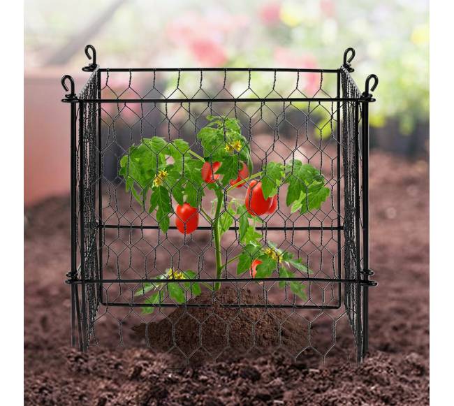 5 dalių augalų apsauga nuo gyvūnų7