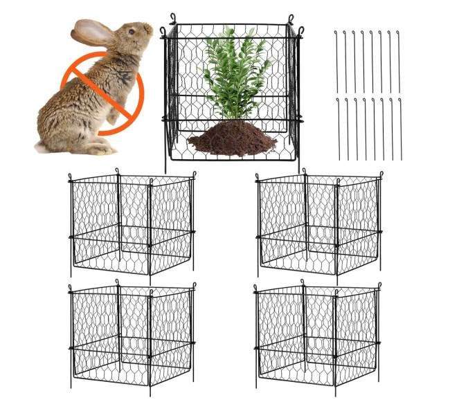 5 dalių augalų apsauga nuo gyvūnų8