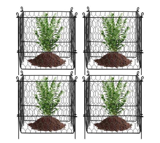 5 dalių augalų apsauga nuo gyvūnų9