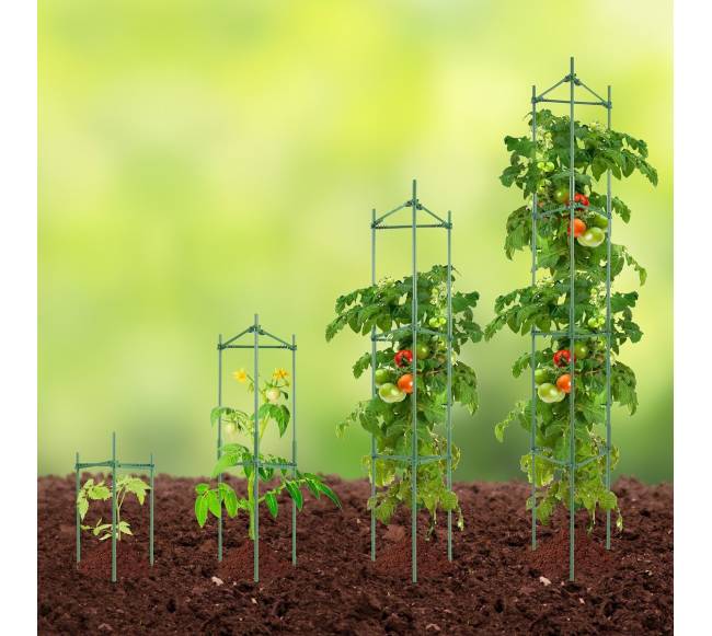 Pomidorų narvai sodui, augalų atramos7