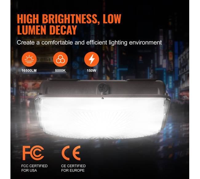 Lauko LED apšvietimas 150W su IP651